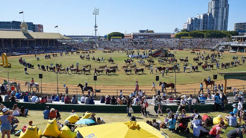 A woodchopping competitor demonstrating skill and strength in the competition arena