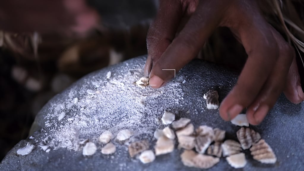 Traditional Shell Money Festival