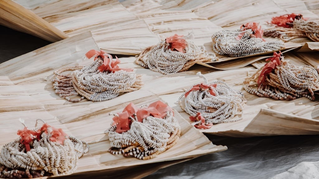 Shell Money Festival in Oceania
